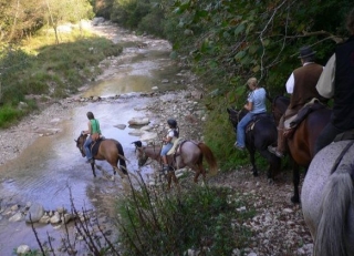 Maravilloso Svarders